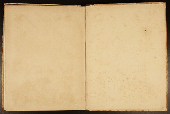 1906 Tiny Tales For Very Little People Antique Illustrated Children's Book