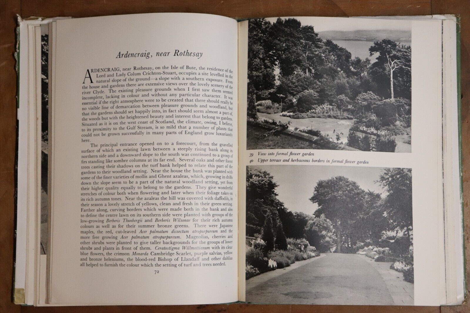 1956 The Earth Is My Canvas by Percy Cane Architectural Garden Design Book