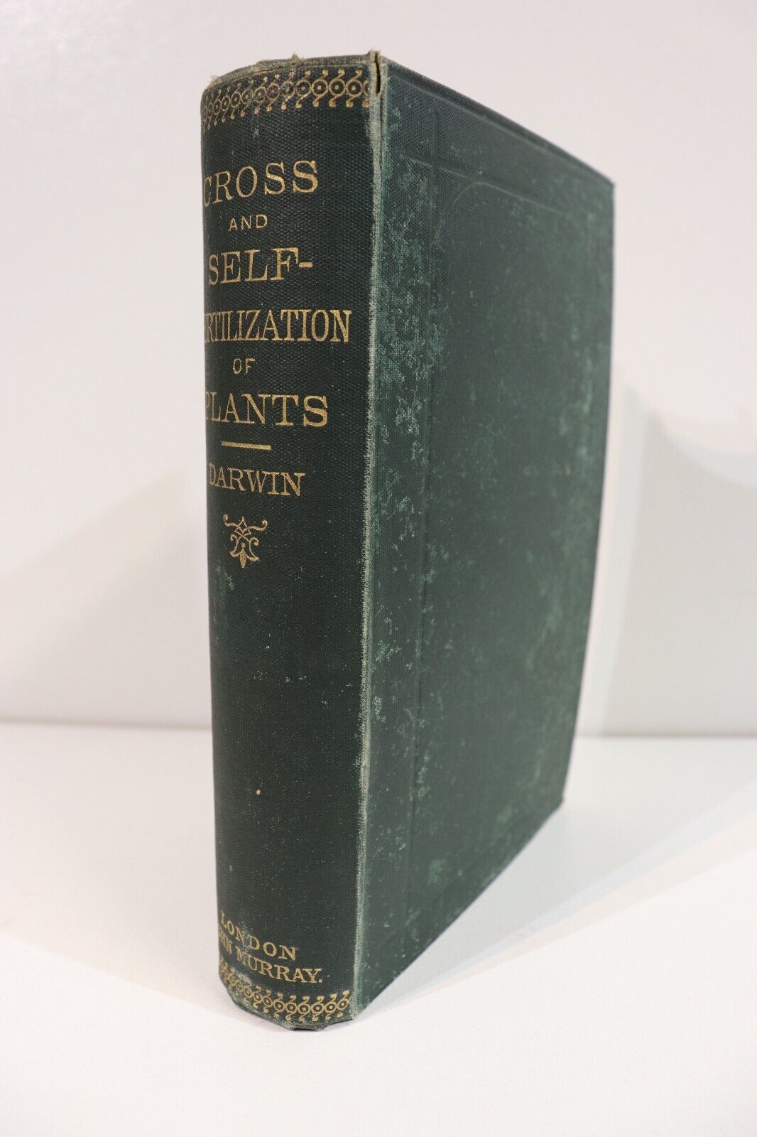 1891 Effects Of Cross & Self Fertilisation by Charles Darwin Antiquarian Book