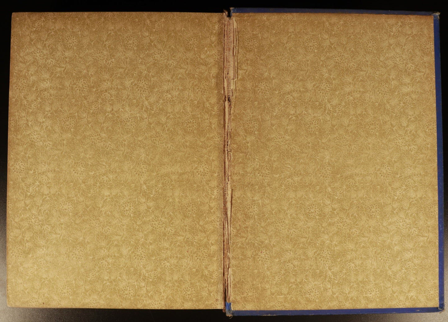 ce211390-a672-4633-8af9-b0fbff43b17e