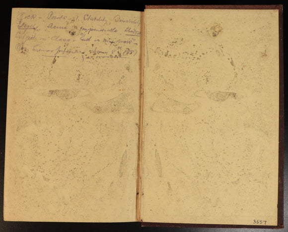 ced9f6c1-19e2-48fb-a55a-e9b5f365d31d