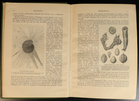 cede2321-2dfd-444d-8609-b18732c7f395