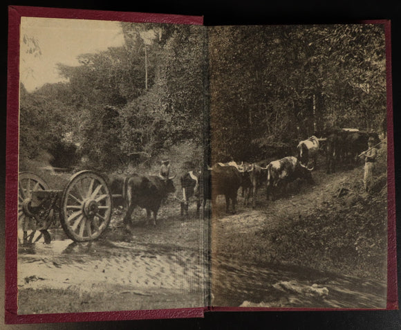 cf3d10ab-2c6e-47de-84f5-a55245b65133