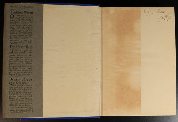 cf55cc41-c3af-4f47-8fe2-e02469348076