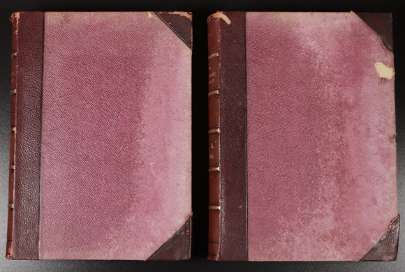 cf882542-dd9b-42f1-9932-d67411e7593d