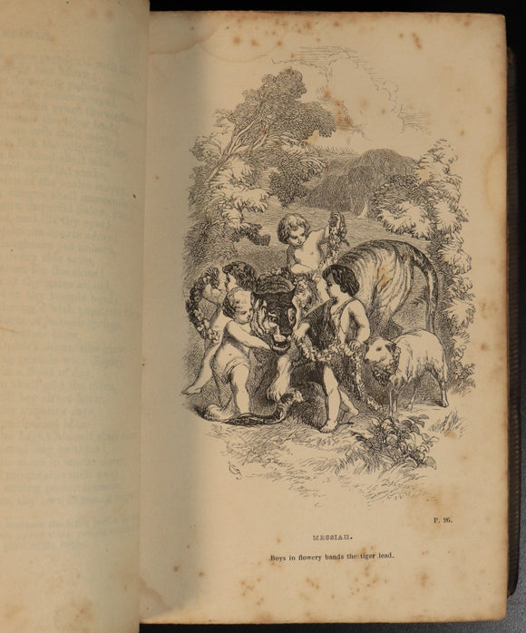 d013f2fd-064f-47b6-8ace-ed3306e63595