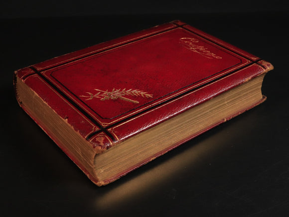 d068d0ca-85f7-4934-859e-3cb9c345ff9f