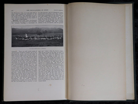 1911 4vol The Encyclopaedia Of Sport & Games Antique Book Set