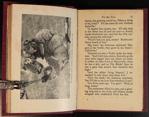 d08f0c55-8144-4e5b-922b-7229d8a09992