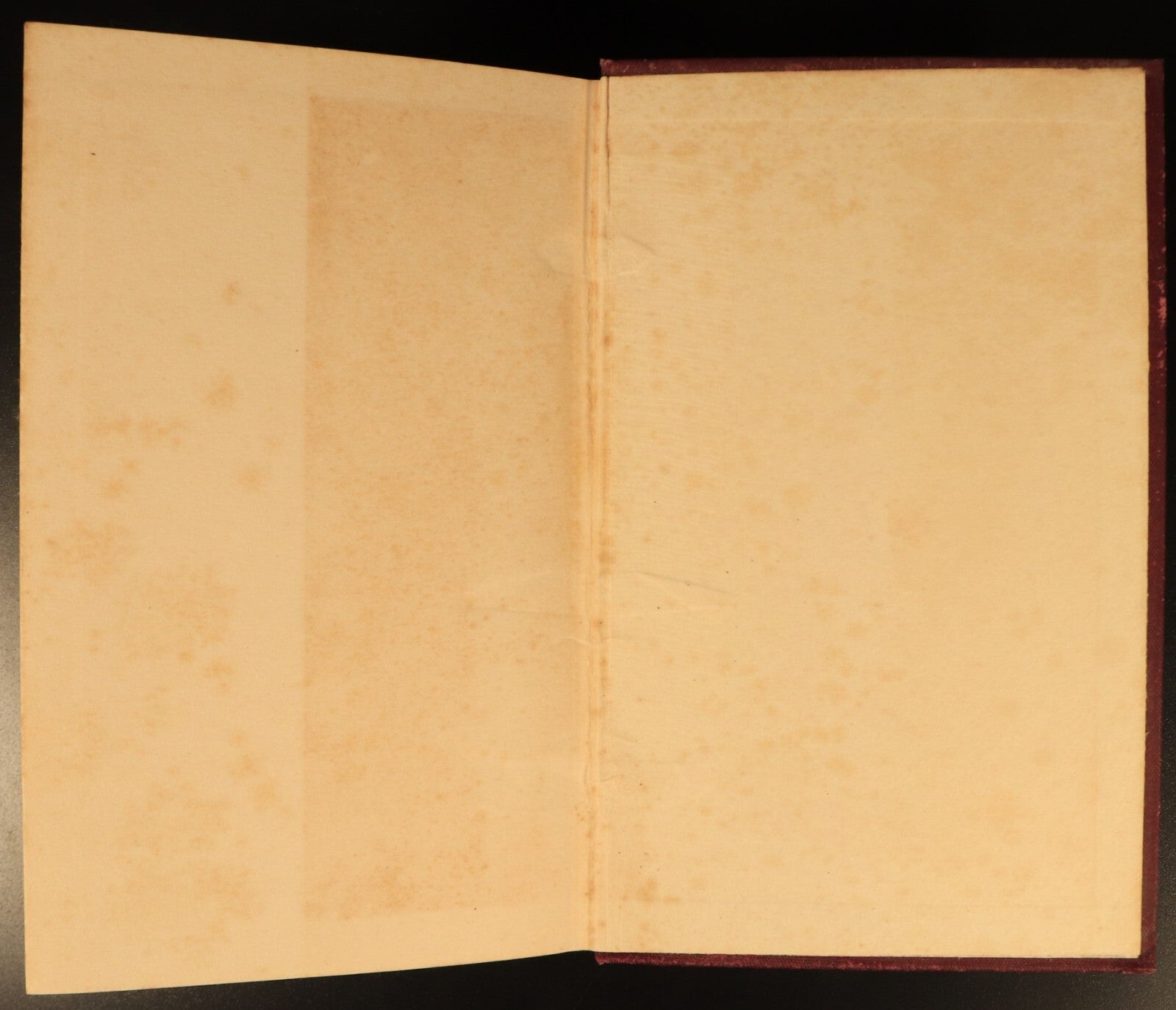1927 The Platypus by Harry Burrell Australian Natural History Book 1st Ed