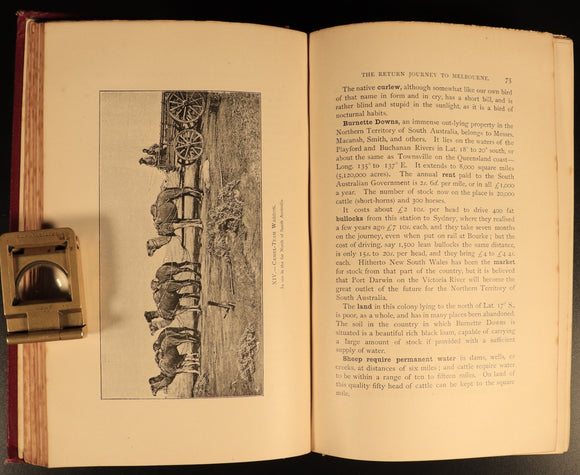 d0d181d6-7383-47a9-bab5-703b842e3592