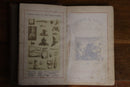 1870 The Book Of Nature & Of Man by C Napier Antique Science & Nature Book-3