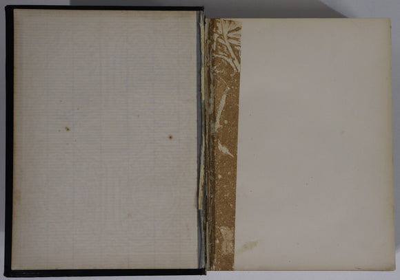 d11f109b-d08e-406c-8b23-fb4018f5ea82