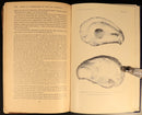 1900 A Manual Of Fish Culture by US Fish & Fisheries American History Book Maps-15