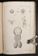 1834 2vol Animal & Vegetable Physiology Antiquarian Natural History Book Set-13