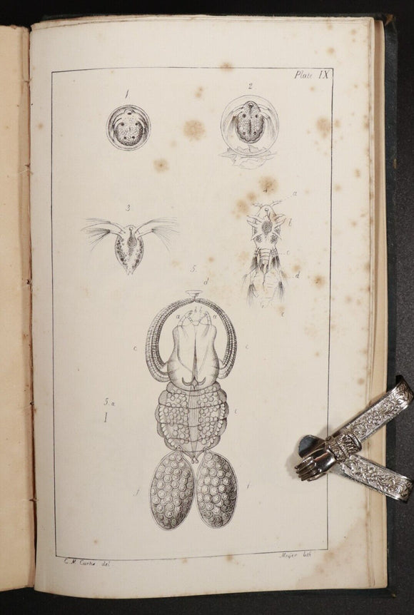 1834 2vol Animal & Vegetable Physiology Antiquarian Natural History Book Set