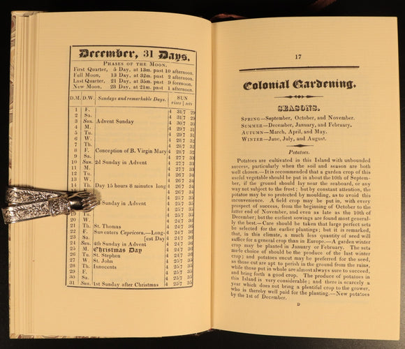 d16d98ed-58dd-4d96-b175-fa46182f9e1b