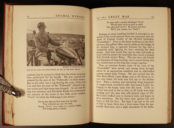 1927 Animal Heroes Of The Great War WW1 Military History Book by E.H. Baynes