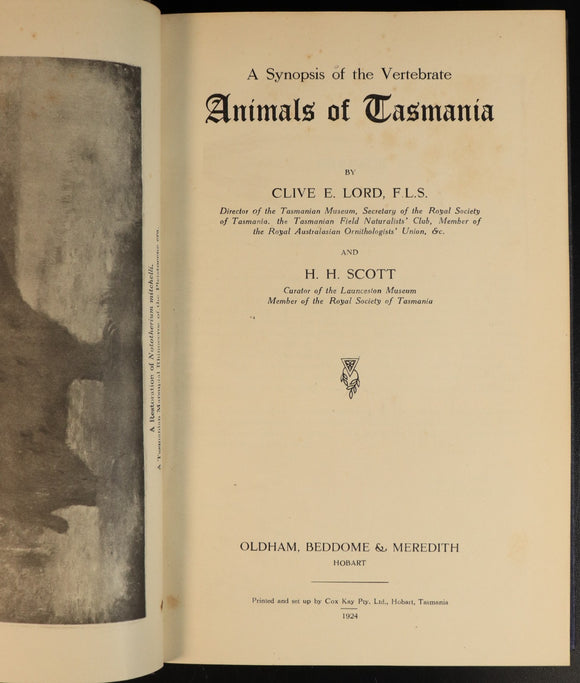 d18b9d2f-429b-4db5-aeaa-25afcf09c52e