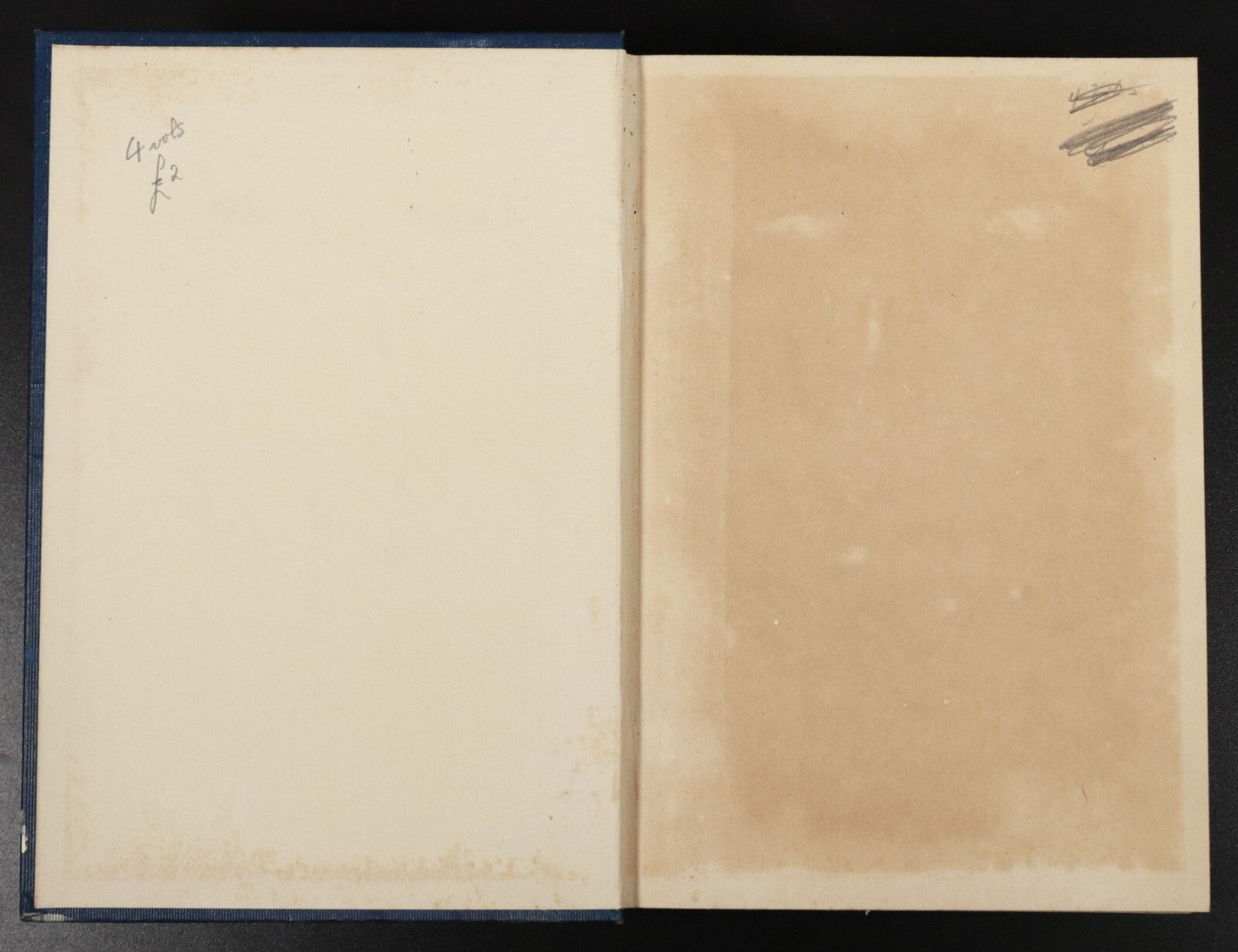 d219c77b-4dce-45e9-b1b5-7438954bd682