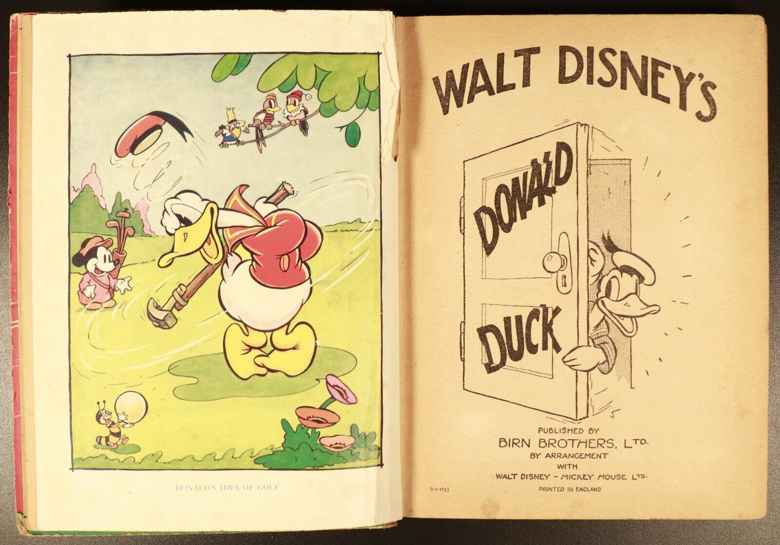 c1930's Walt Disney's Donald Duck Antique Illustrated Childrens Book Birn Bros.