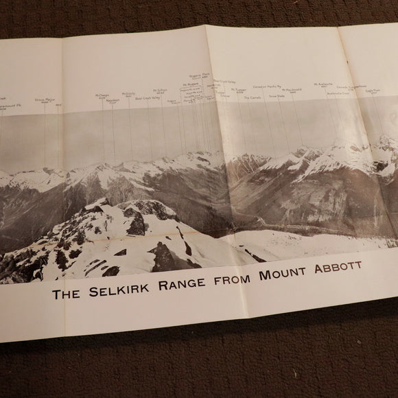 d355b413-32c9-449c-ab45-c8c1b9260615