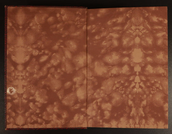 c1920 Tom Brown's School Days by Thomas Hughes Antique Fiction Book