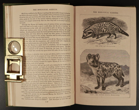 d3c9328a-ab84-4b51-8f5e-b343f3fae1d1