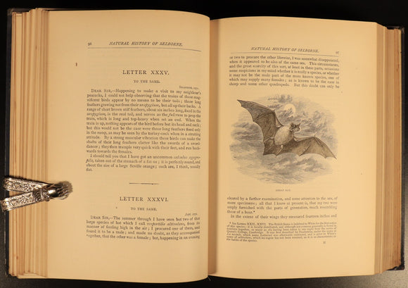 d414ec95-d0f0-4669-9095-c126c9f2df70