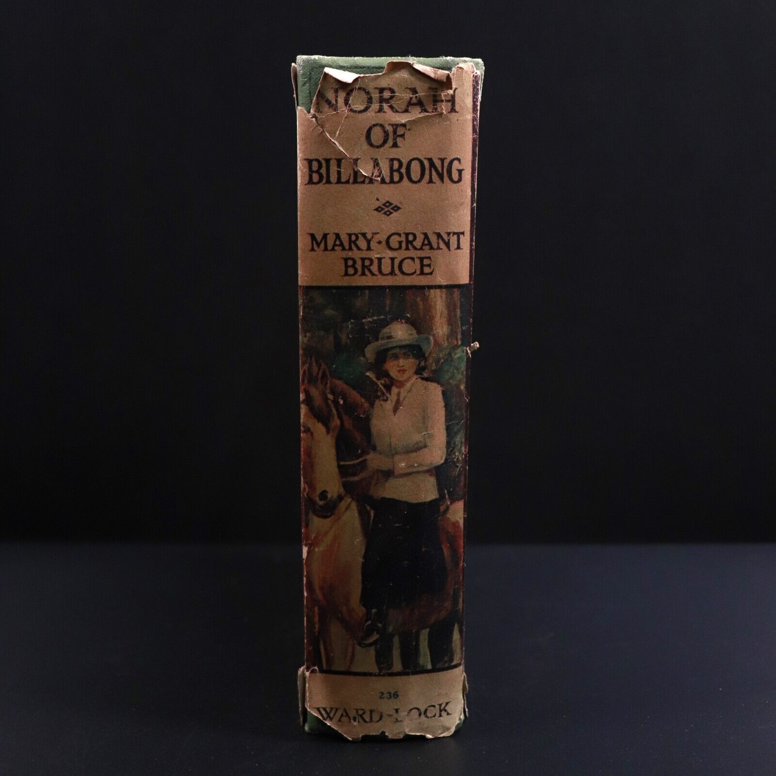 c1913 Norah Of Billabong by Mary Grant Bruce Australian Fiction Book