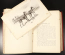 1893 Modern Dogs Of Great Britain & Ireland Antique Sporting Dog Reference Book-13