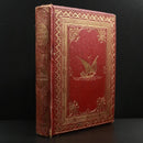 d5a1e257-369d-4846-835d-812a9d7ecdb2