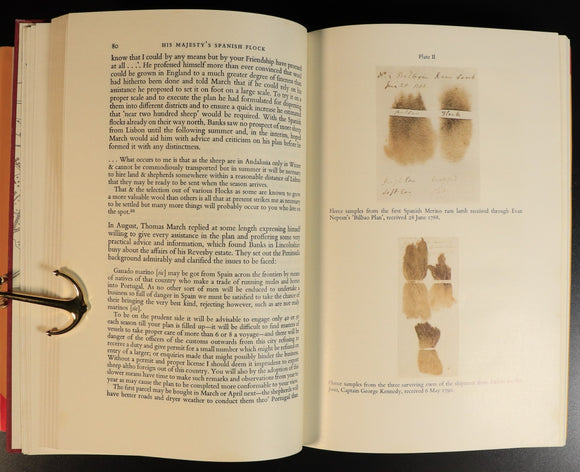 d5f38332-7253-4931-be16-6da83e1cef02