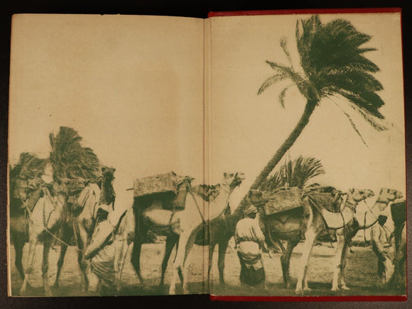 1927 Animal Heroes Of The Great War WW1 Military History Book by E.H. Baynes