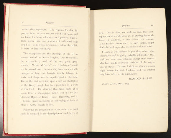 1893 Modern Dogs Of Great Britain & Ireland Antique Sporting Dog Reference Book