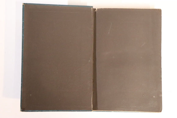 1873 Holidays On High Lands Search Of Alpine Plants Antique Natural History Book