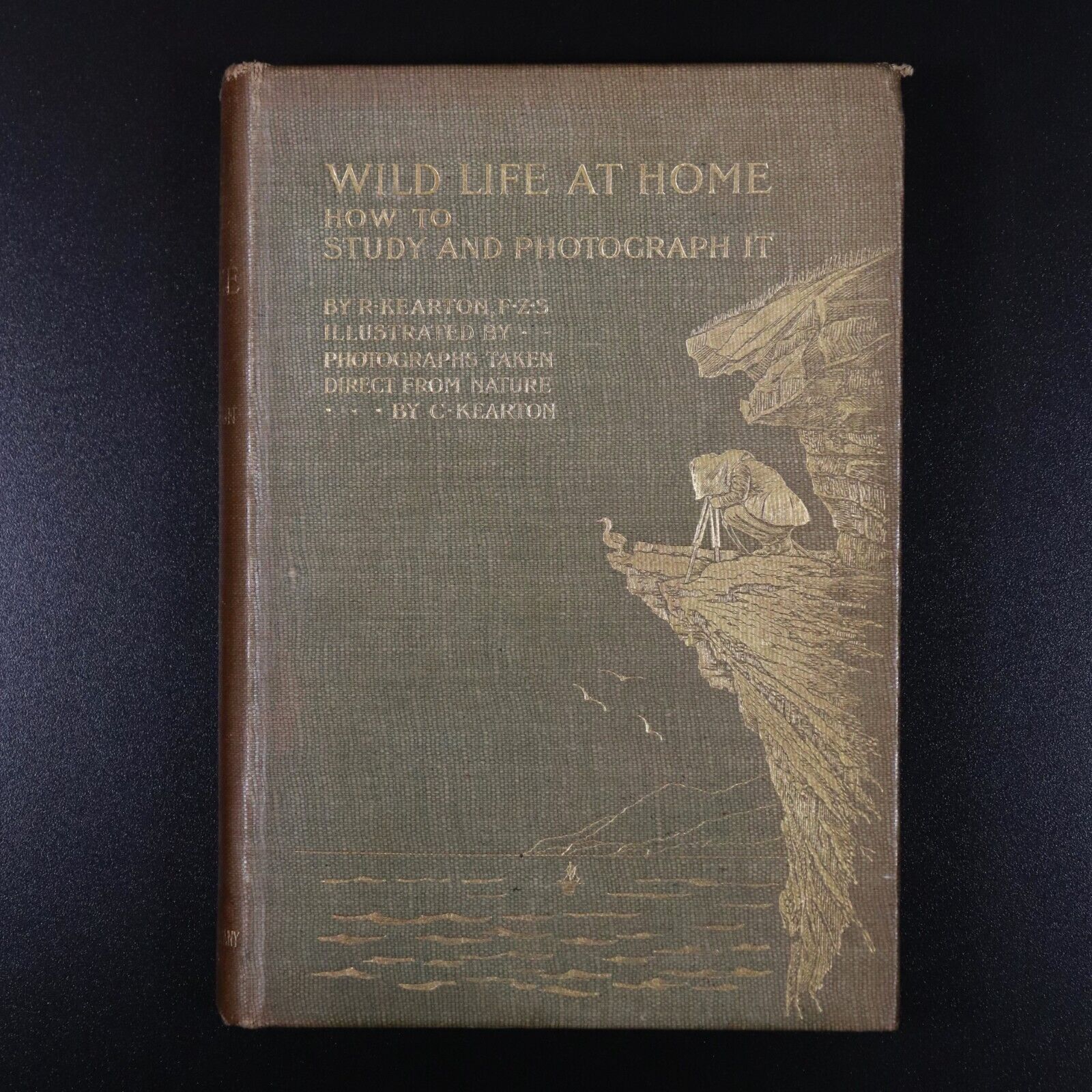 1898 Wild Life At Home & How To Photograph It Antiquarian Reference Book Kearton - 0