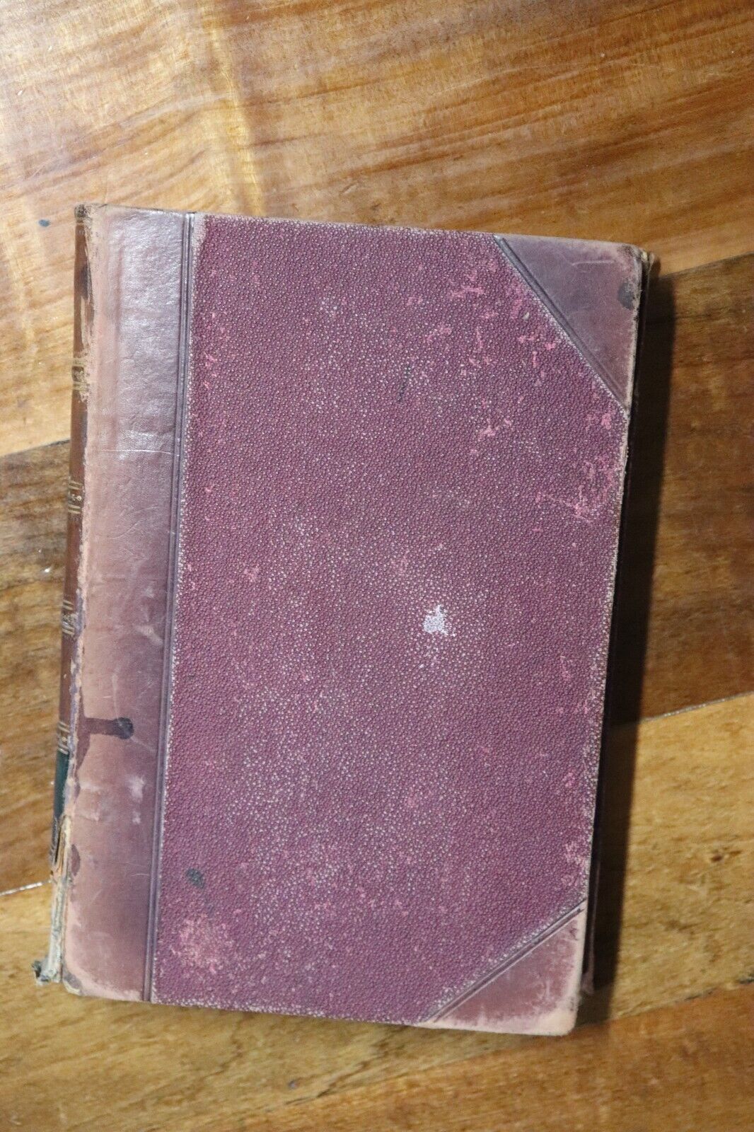 1891 Swift: The Mystery Of His Life & Love Irish Political Biography Book J. Hay