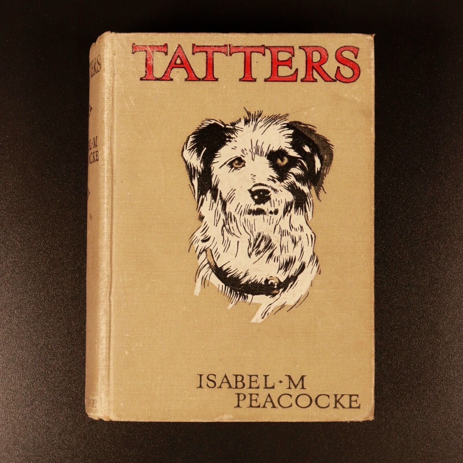 1928 Tatters by Isabel Maude Peacocke Antique Children's Book Dog Stories