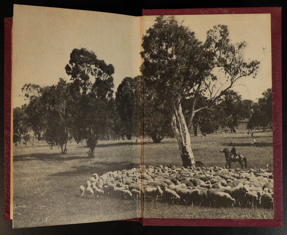 d7bfa4d5-6e10-45e4-a44b-fa93d1312116