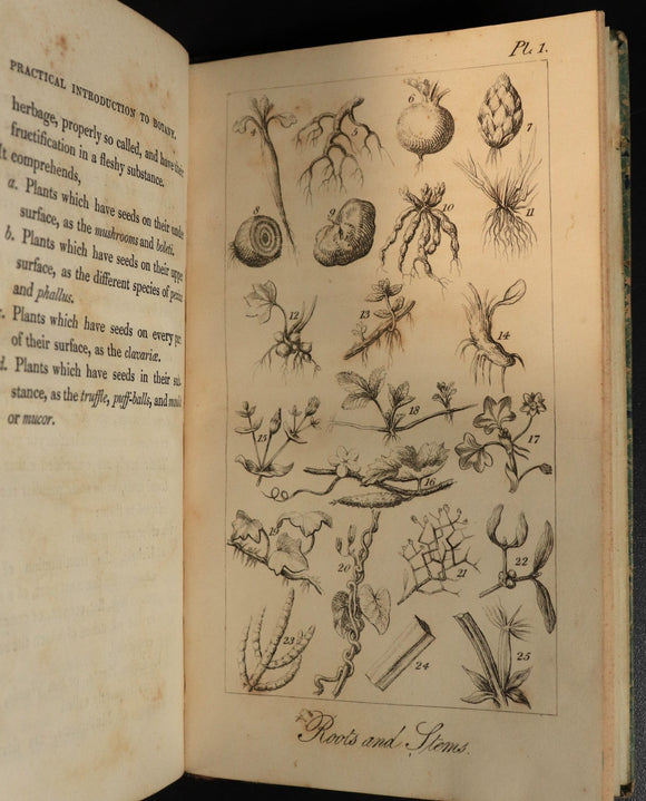 d818d32a-cd3b-4294-a564-831a2691cc2f