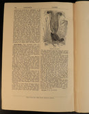 d81f6e73-c9b9-4fb0-912f-d2e6b3ade526