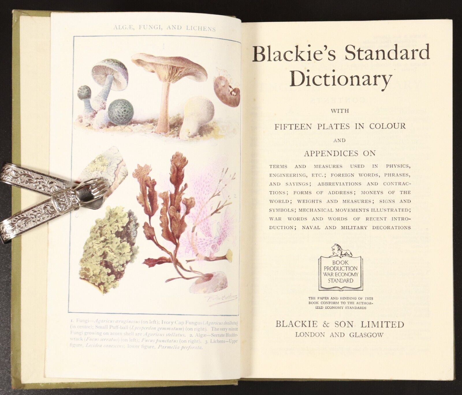 c1946 Blackie's Standard Dictionary Antique Reference Book Illustrated