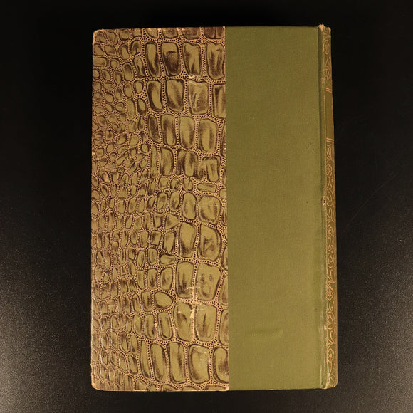 The Poetical Works Of Percy Bysshe Shelley c1895 Rossetti Antique Poetry Book