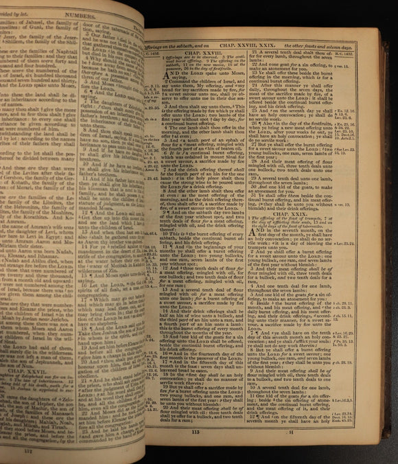 d8825b1f-819c-4e3e-81fd-c4fc4b55f253