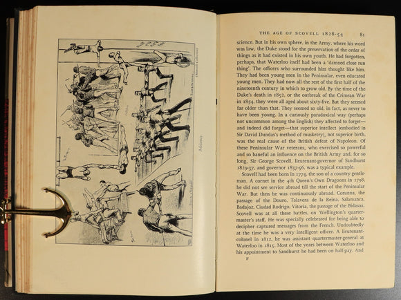 d88b7c38-fc47-4238-89e5-241ae2be5f76