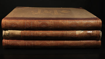 d8efabb6-8ef0-4c54-981c-7554242e43d7