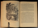 d8f24aba-ef07-4f8f-a7f0-ebdc1e2c6d92