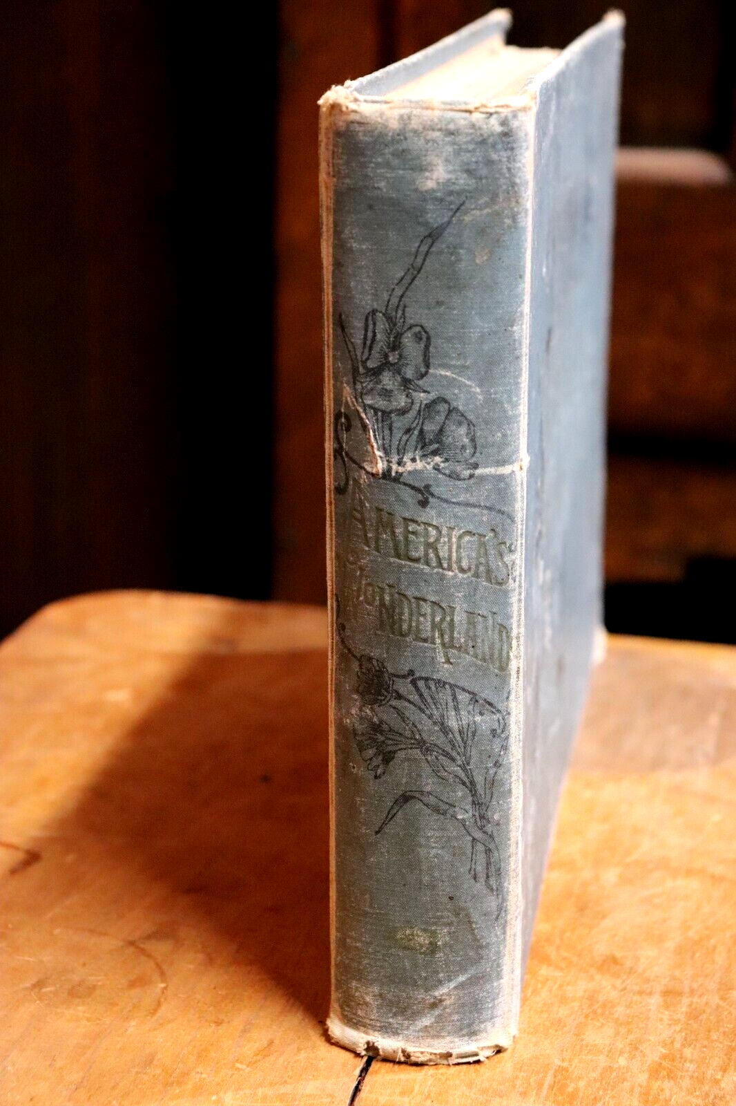 1893 America's Wonderlands by J.W. Buel Antique American Photo History Book