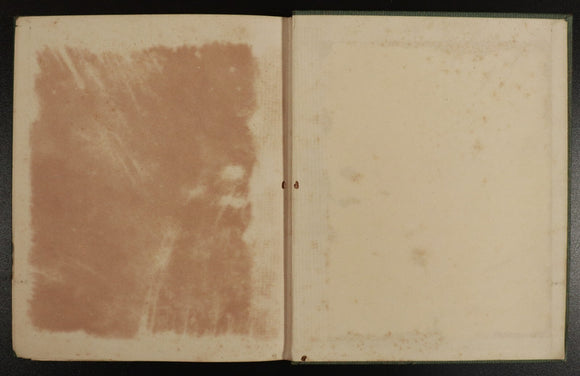 d9de6a55-25f1-4f2e-ba98-d519235d03d5